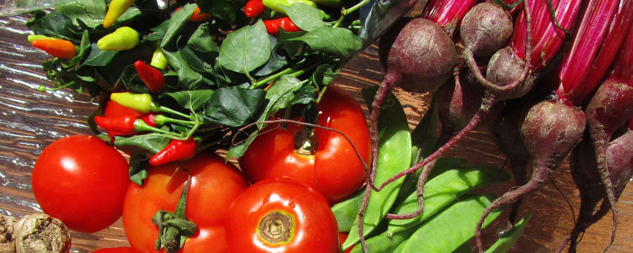 Alimentation durable